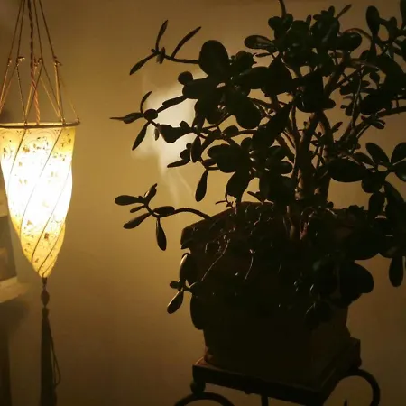 Casa Percivalle B&B